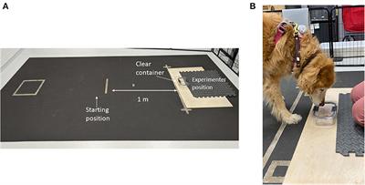 Relationship between engagement with the impossible task, cognitive testing, and cognitive questionnaires in a population of aging dogs